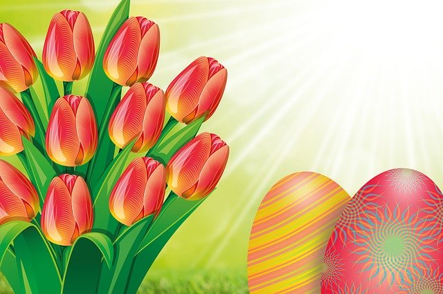 kytice tulipánů a velikonoční vajíčka